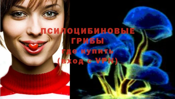 индика Козловка
