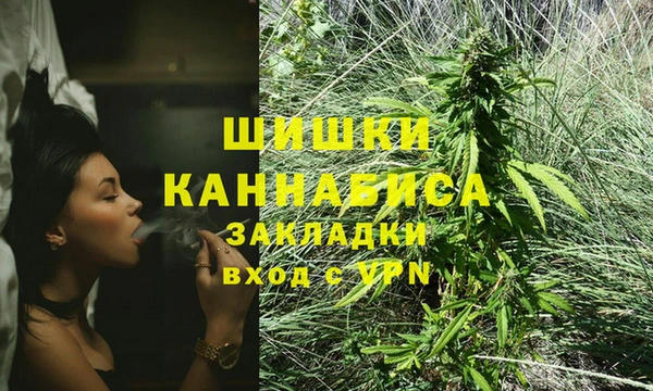 сатива Киреевск