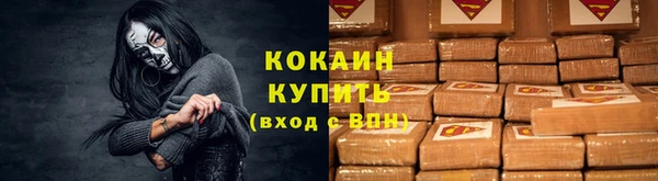 индика Козловка
