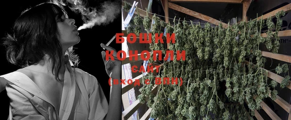 индика Козловка
