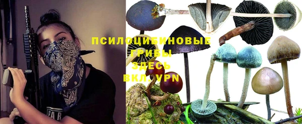 индика Козловка