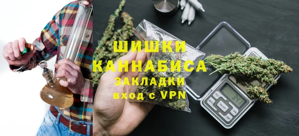 гидра Киренск