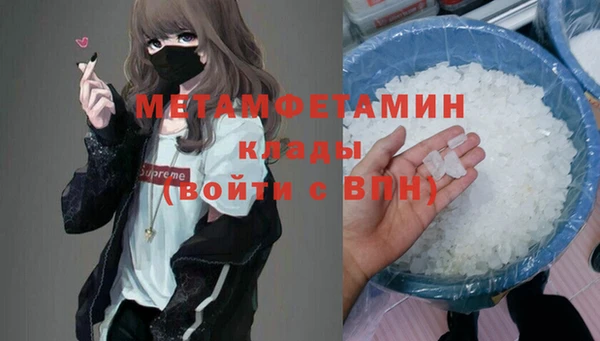 индика Козловка