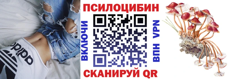 Псилоцибиновые грибы GOLDEN TEACHER  Купить где  Красково 